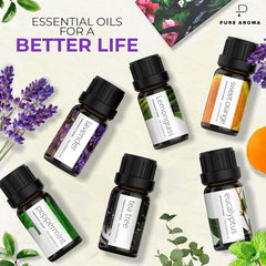 Juego de 6 aceites esenciales para aromaterapia, paquete de 6, 0.3 fl oz (Eucalyptus, lavanda, citronela, naranja dulce, menta, árbol de té)