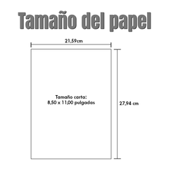 Hojas para Sublimación de tinta marca EPSON, tamaño carta: 8.5" x 11". Paquete de 10 hojas de papel de transferencia multiusos. Hojas para sublimar.