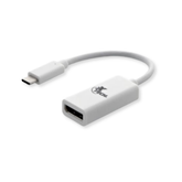 Cable Adaptador USB Tipo C Macho a Displayport Hembra. XTC 555. Marca Xtech. Color Blanco. 3.9 Pulgadas (10 cm) de largo.