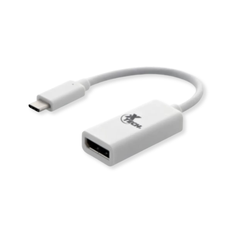 Cable Adaptador USB Tipo C Macho a Displayport Hembra. XTC 555. Marca Xtech. Color Blanco. 3.9 Pulgadas (10 cm) de largo.