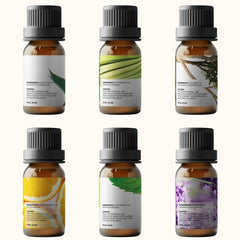 Juego de 6 aceites esenciales para aromaterapia, paquete de 6, 0.3 fl oz (Eucalyptus, lavanda, citronela, naranja dulce, menta, árbol de té)