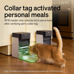 PETLIBRO Alimentador automático RFID para gatos, comidas personalizadas activadas con etiqueta de collar, dispensador de comida programable Wi-Fi 5G y 2.4G con reconocimiento de gatos y seguimiento.